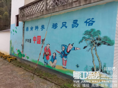 太湖县城西乡大龙村：“文化墙”引领乡风文明